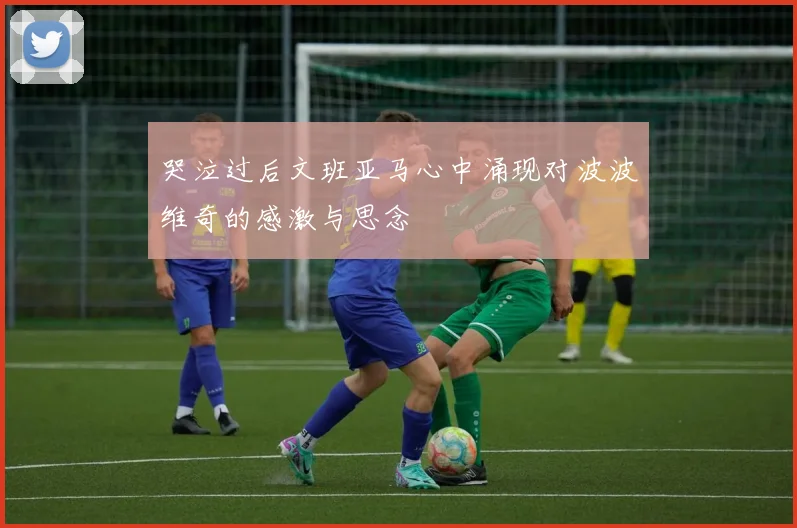 哭泣过后文班亚马心中涌现对波波维奇的感激与思念